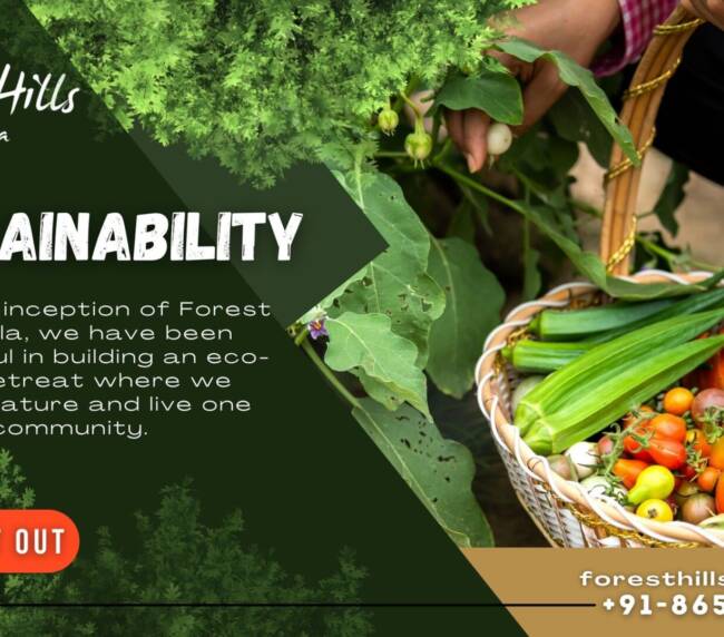 Sustainability